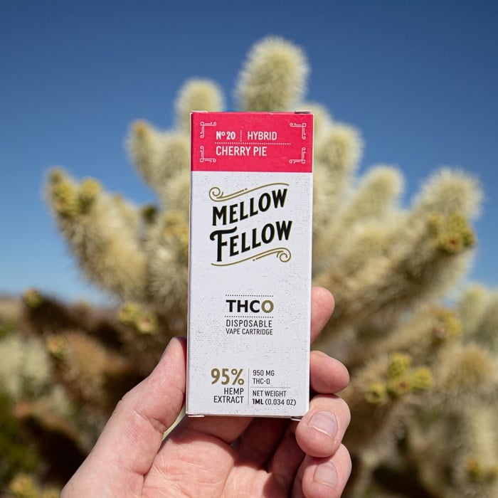 Mellow Fellow Review 2026 — Pharmacist Formulated THC Edibles and Vapes!