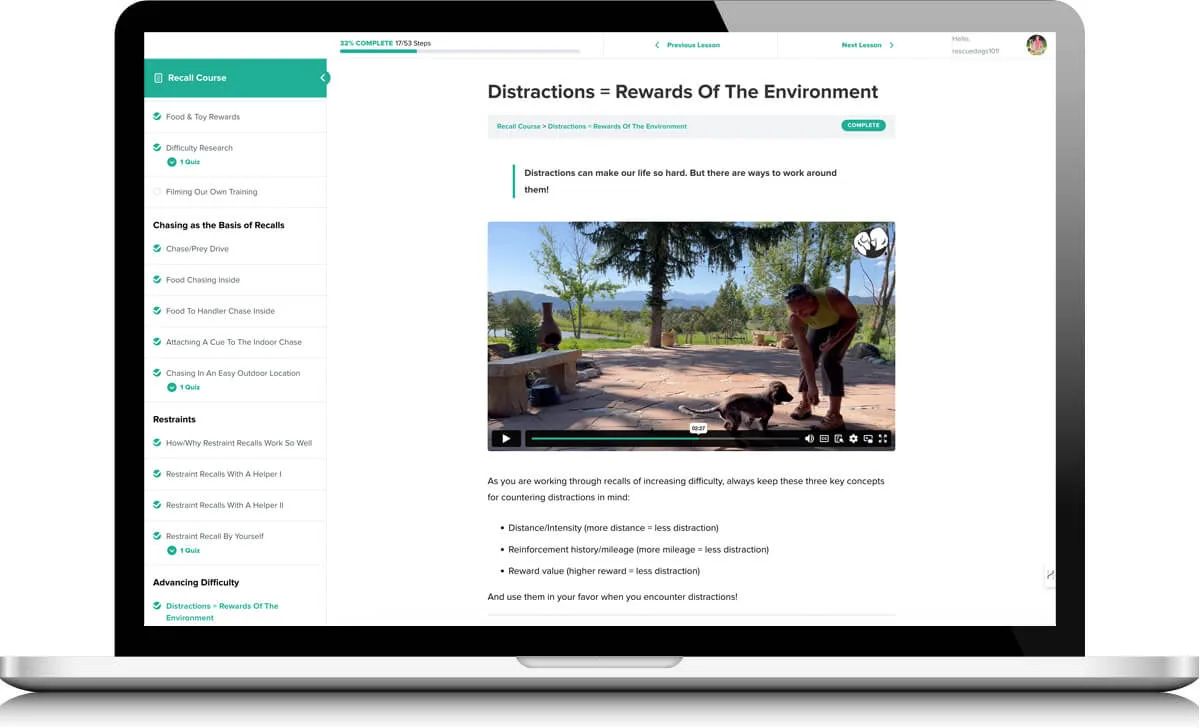 SpiritDog Training Review: Honest Insights, Features & What to Expect