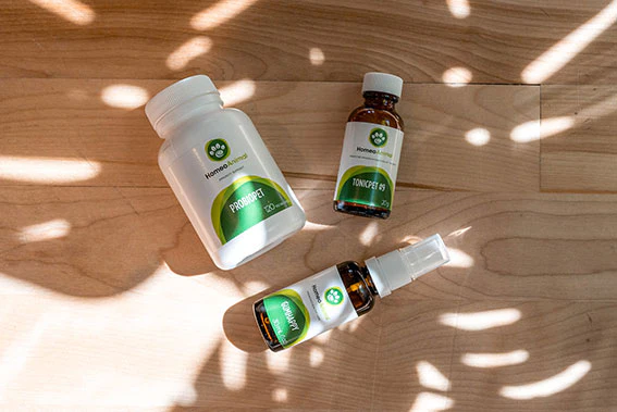 Zumalka Review 2026: Is This Natural Pet Health Brand Worth Your Trust?